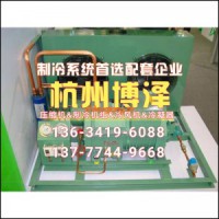 廠家直銷半封閉風冷機組水冷機組谷輪活塞壓縮機比澤爾