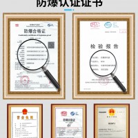 思誠 防爆排風扇BFAG-600防爆風機220V/380V