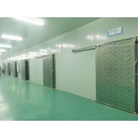 冷庫電動平開門